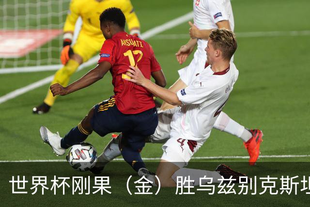 世界杯刚果（金）胜乌兹别克斯坦 韩国无缘32强
