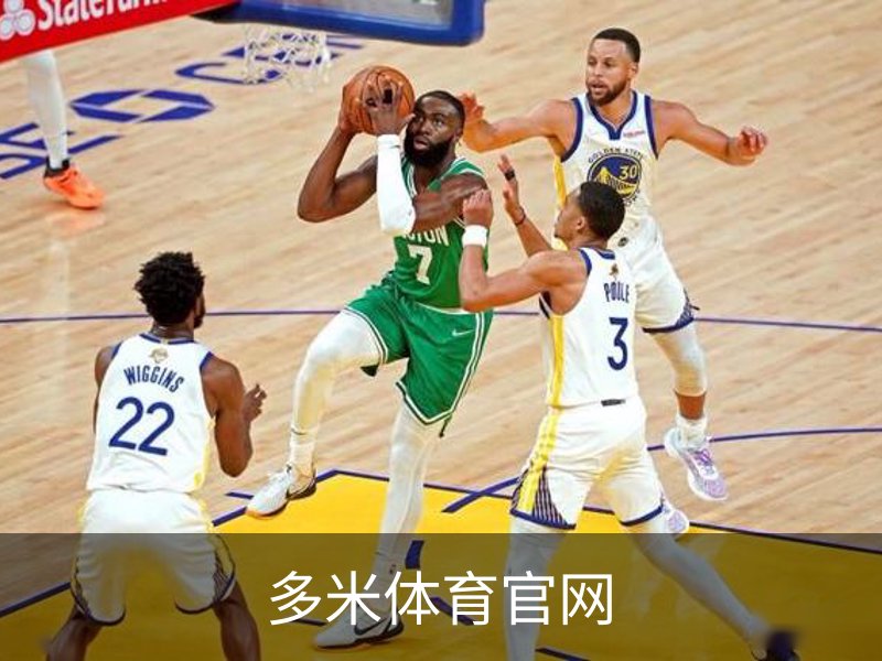 多米体育官网简介