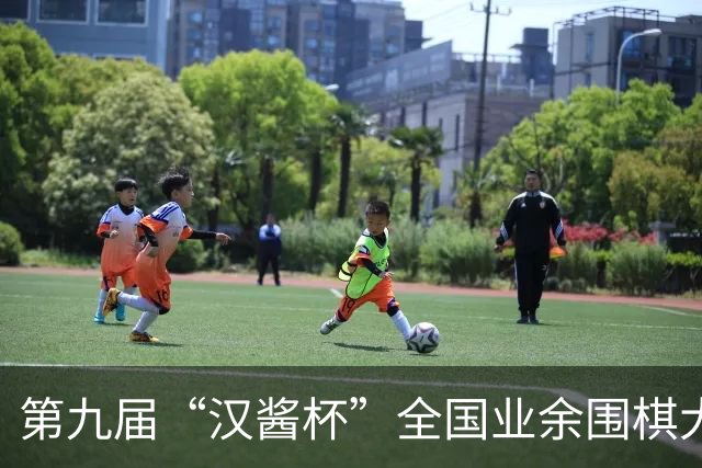 第九届“汉酱杯”全国业余围棋大赛西部赛区闭幕